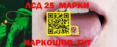 прущие грибы Ликино-Дулёво